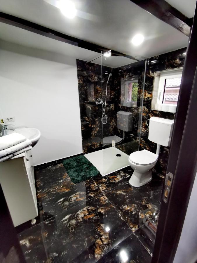 Vila Bijou Borşa Buitenkant foto