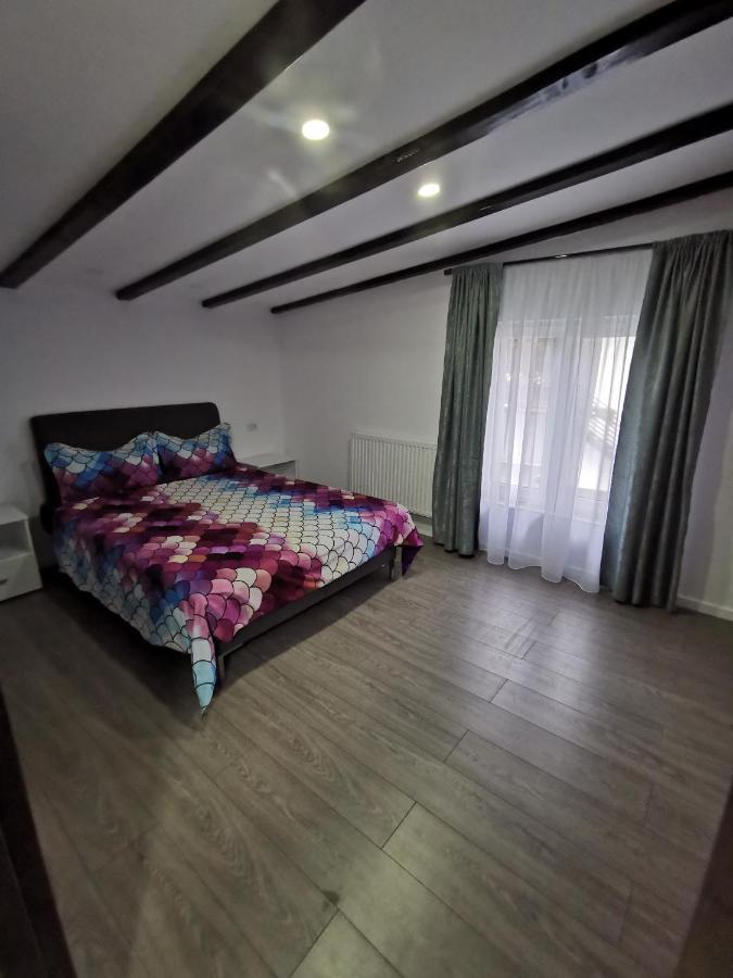Vila Bijou Borşa Buitenkant foto