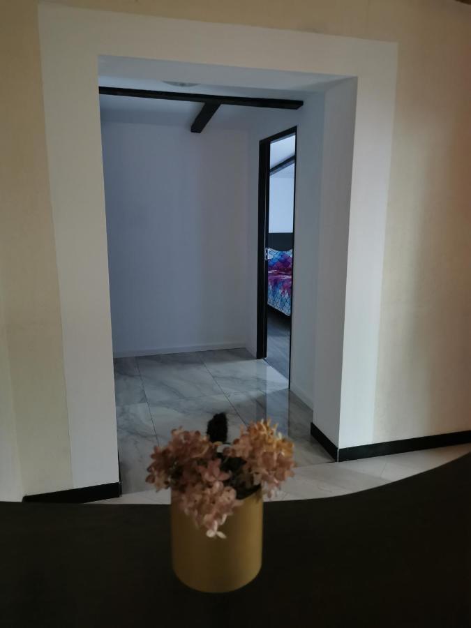 Vila Bijou Borşa Buitenkant foto