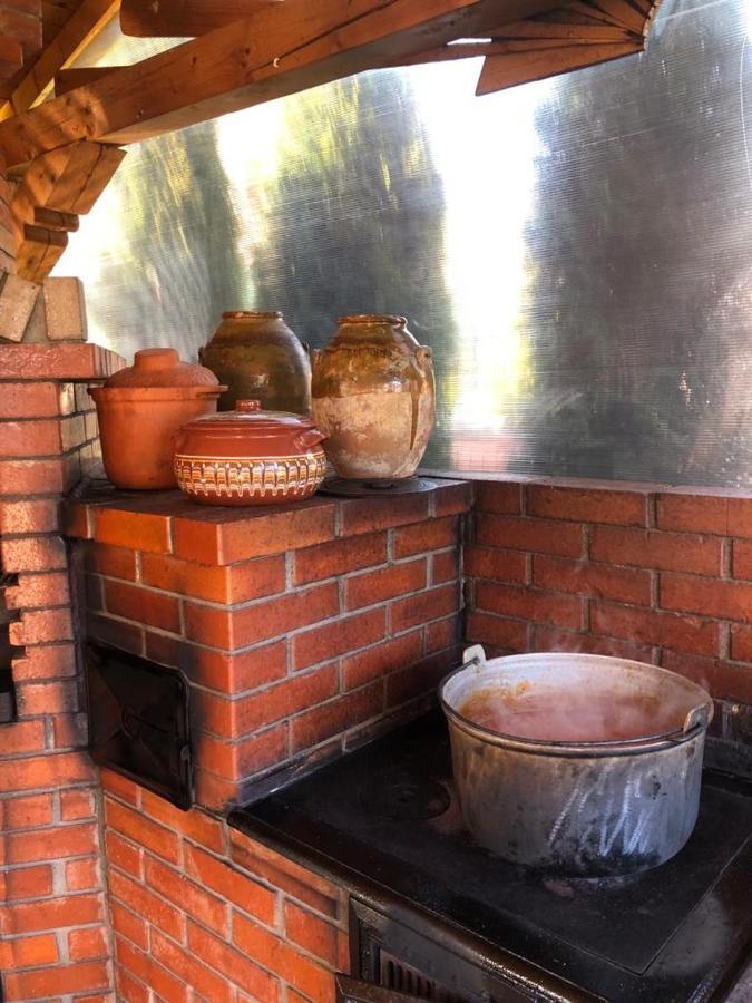 Vila Bijou Borşa Buitenkant foto