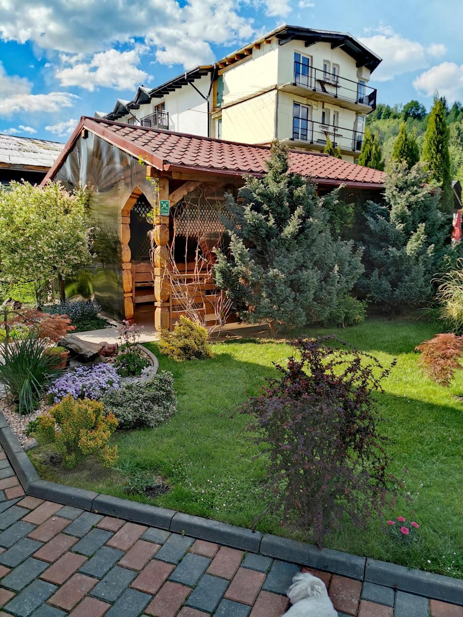 Vila Bijou Borşa Buitenkant foto